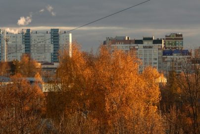 Autumn trees in front of city buildings