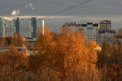 Autumn trees in front of city buildings